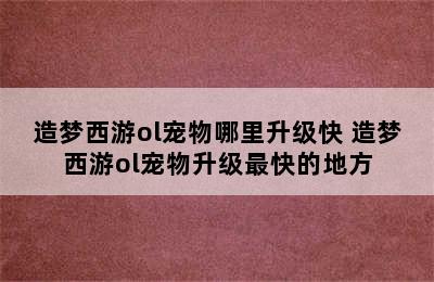 造梦西游ol宠物哪里升级快 造梦西游ol宠物升级最快的地方